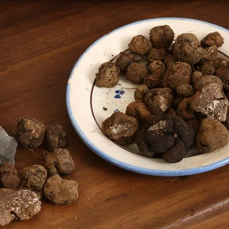 Logis Restaurant Du Commerce Hotel 2*