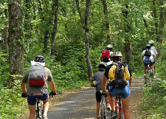 Logis Hotel Restaurant Du Commerce