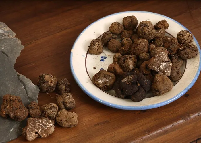 Logis Hotel Restaurant Du Commerce Hotel 2*